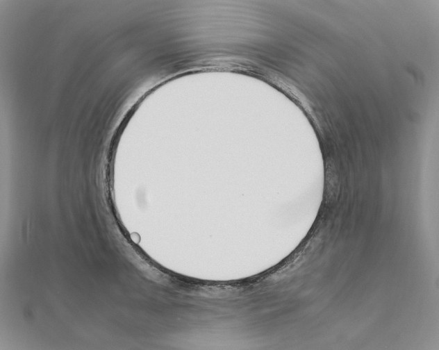 X0000110931091200907301618