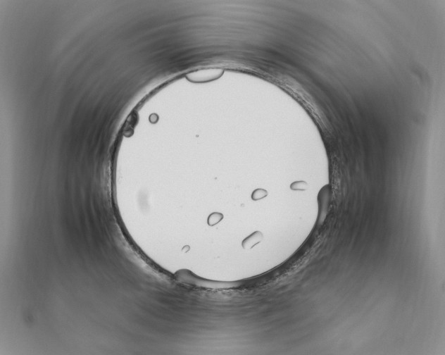 X0000110931092200907301618