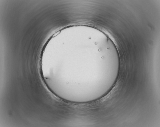 X0000110931093200907301618