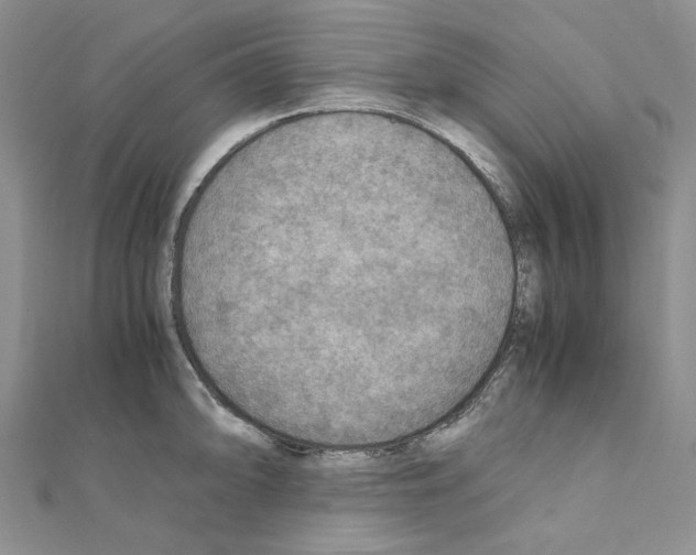 X0000110931094200907301618
