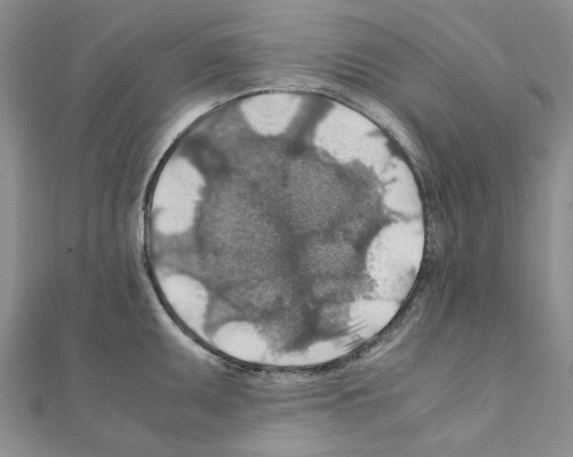 X0000110931095200907301618
