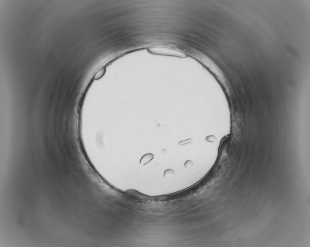 X0000110931096200907301618