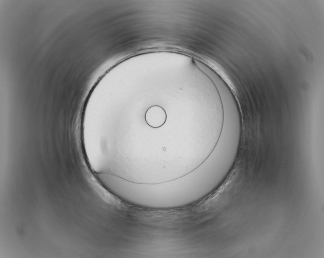 X0000110931098200907301618