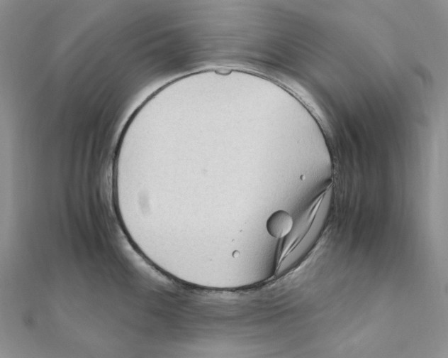 X0000110931100200907301618