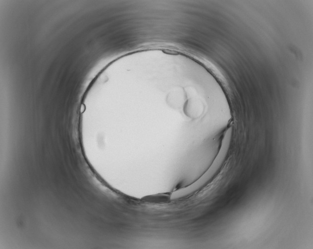 X0000110931102200907301618