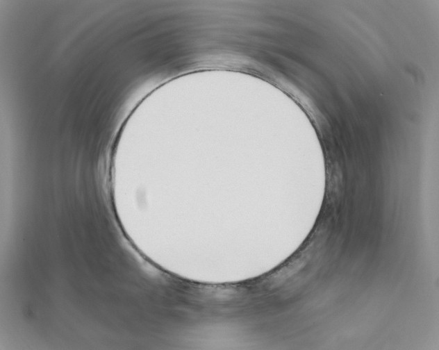 X0000110931103200907301618