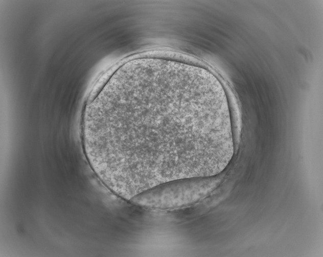 X0000110931104200907301618