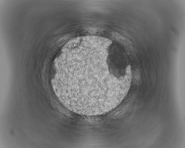 X0000110931105200907301617
