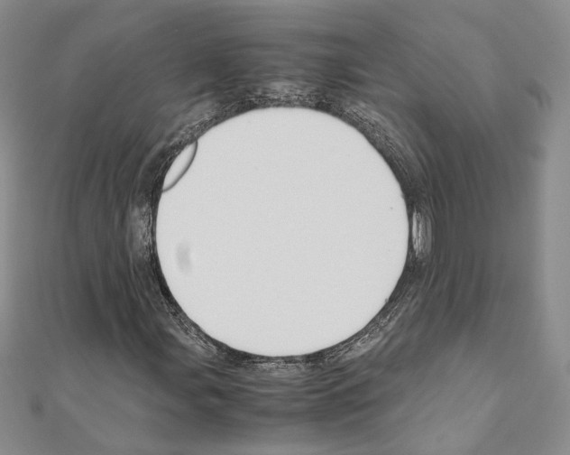 X0000110931107200907301617