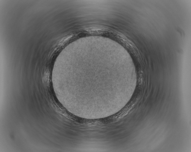 X0000110931108200907301617