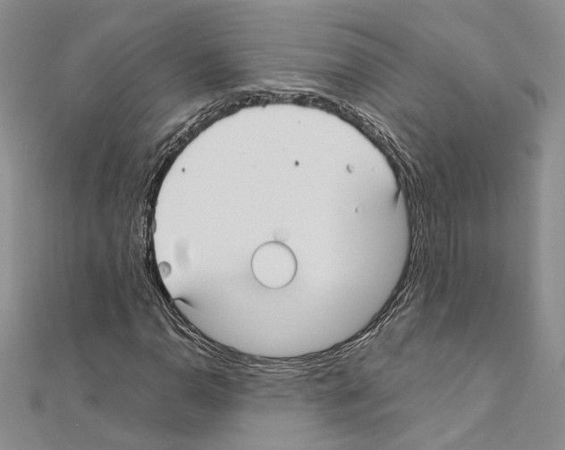 X0000110931110200907301617