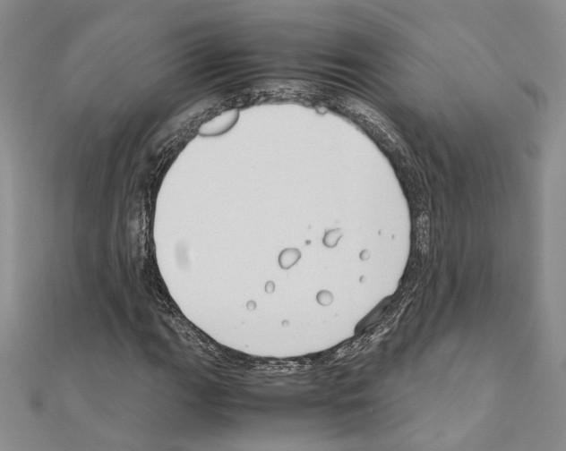 X0000110931111200907301617