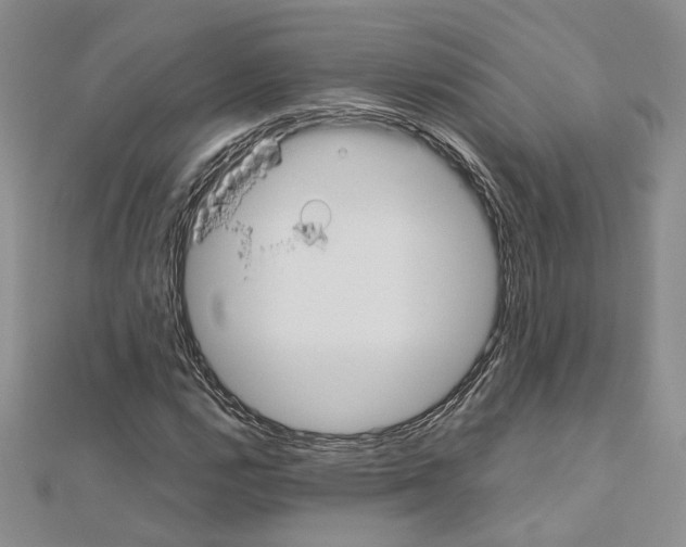 X0000110931112200907301617