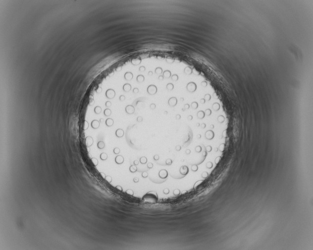 X0000110931113200907301617