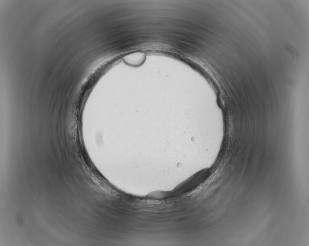 X0000110931115200907301617