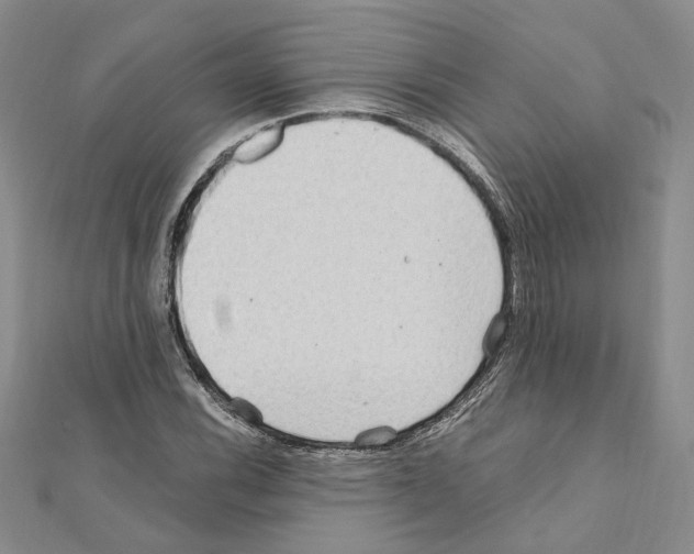 X0000110931116200907301617