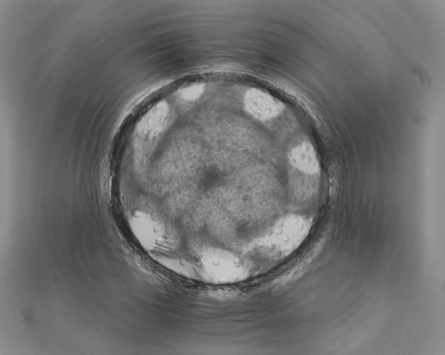 X0000110931117200907301618