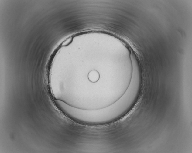 X0000110931118200907301618