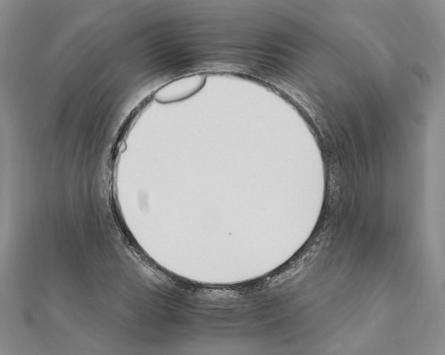 X0000110931119200907301618
