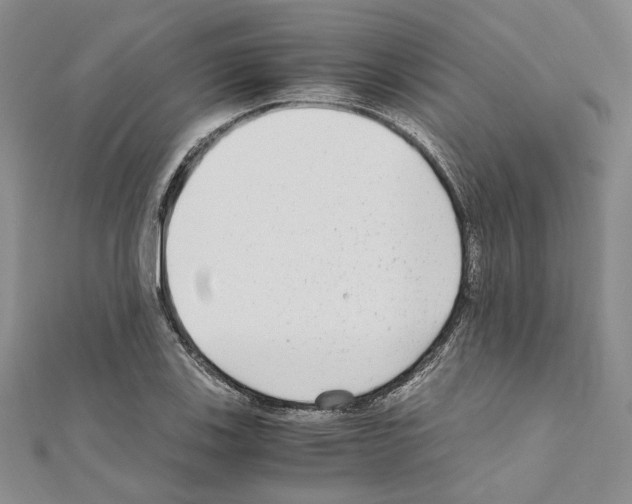 X0000110931123200907301618