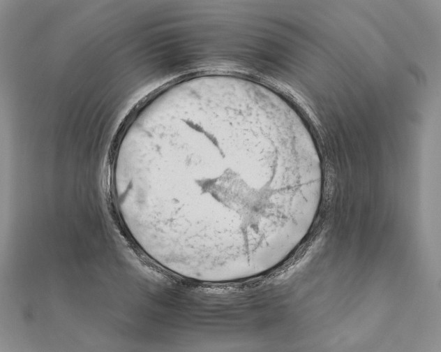 X0000110931125200907301618