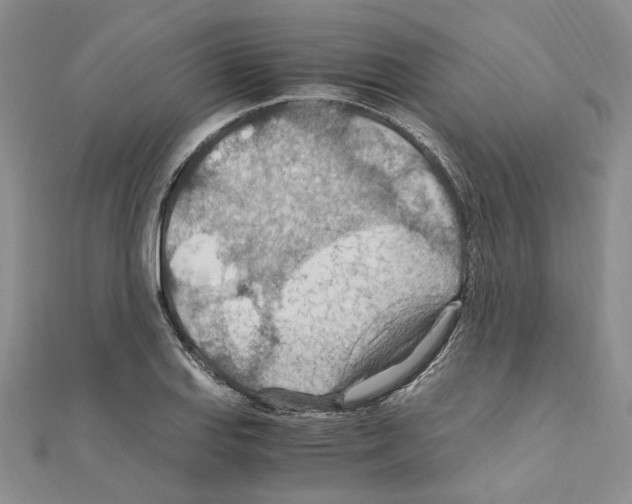 X0000110931127200907301618