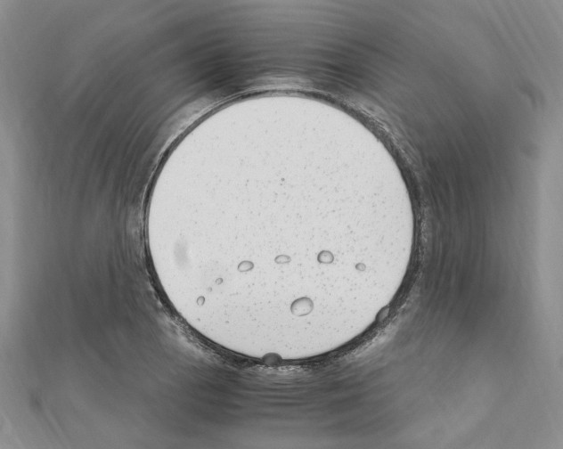 X0000110931129200907301618