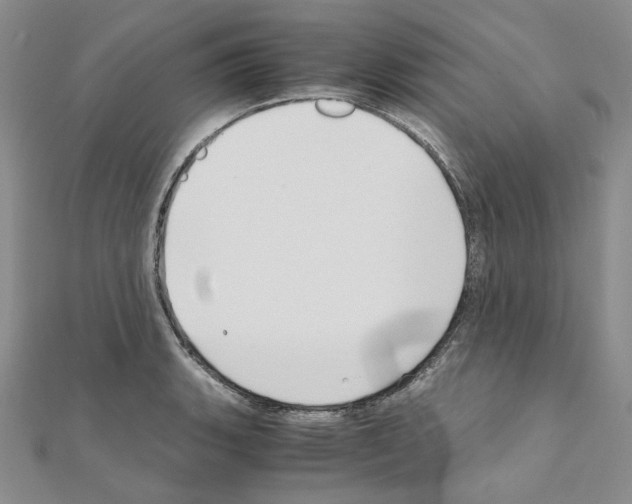 X0000110931135200907301618