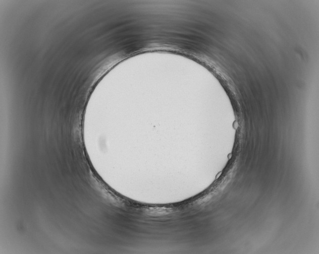 X0000110931137200907301618