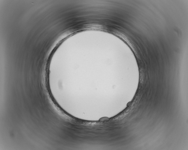X0000110931139200907301618