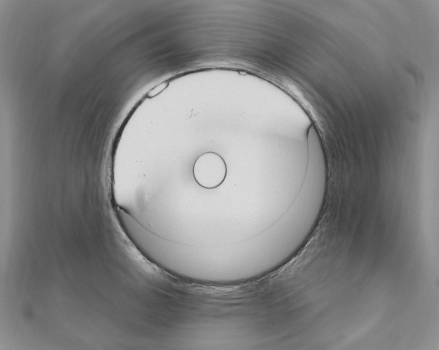 X0000110931140200907301618