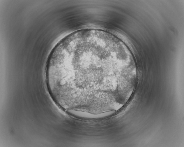 X0000110931141200907301618