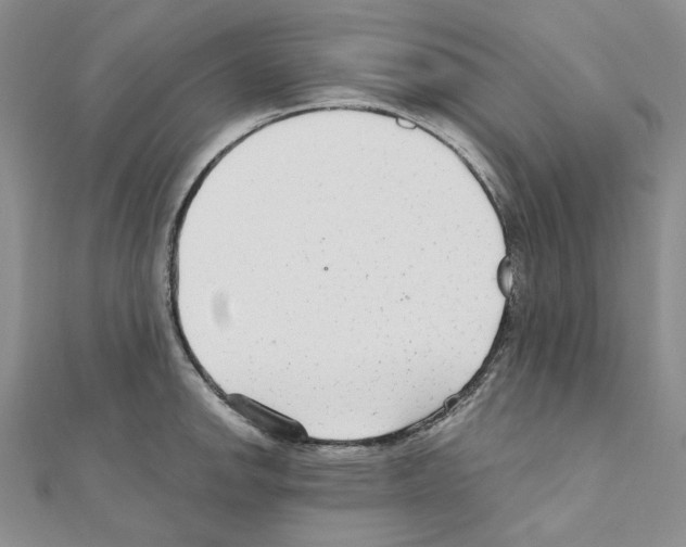 X0000110931142200907301618