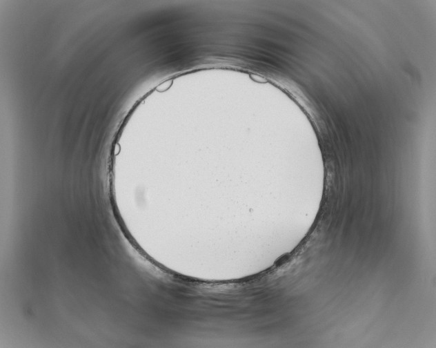 X0000110931143200907301618