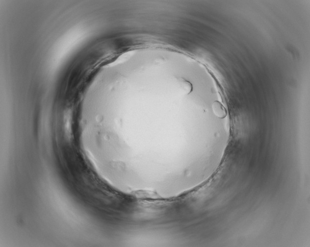 X0000110931150200907301618
