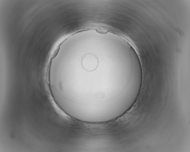 X0000110931152200907301618