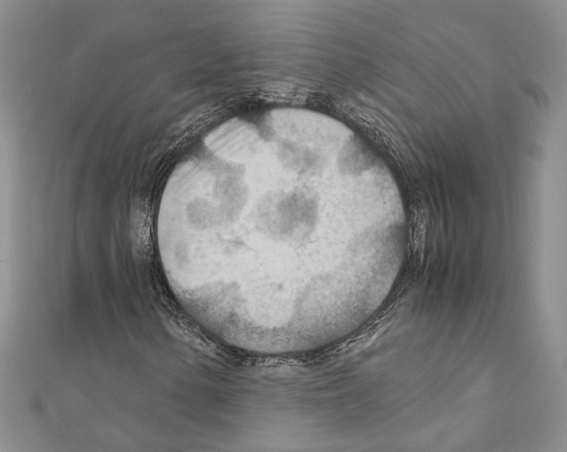 X0000110931154200907301617
