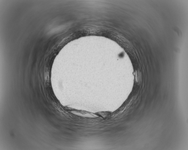 X0000110931155200907301617