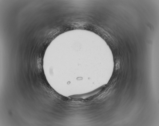X0000110931156200907301617