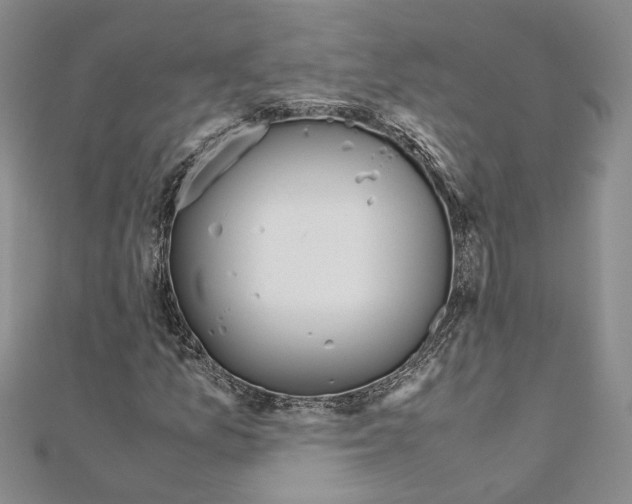 X0000110931157200907301617