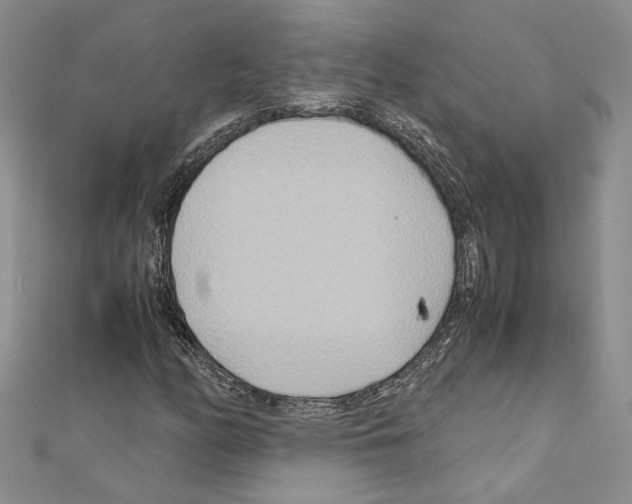 X0000110931158200907301617