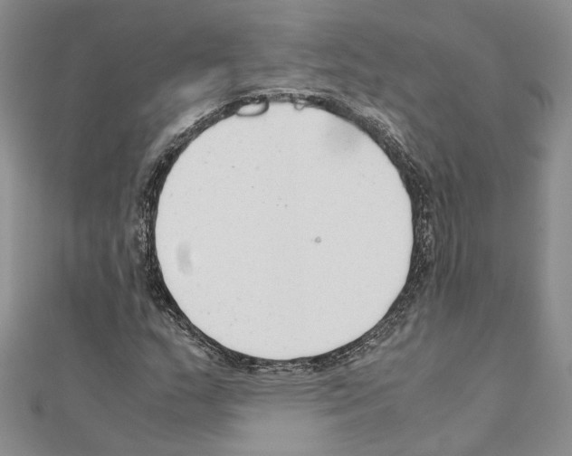 X0000110931159200907301617