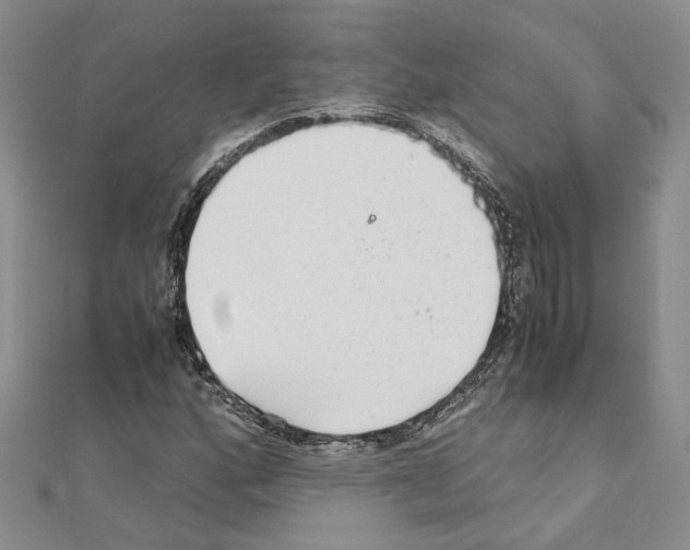 X0000110931160200907301617