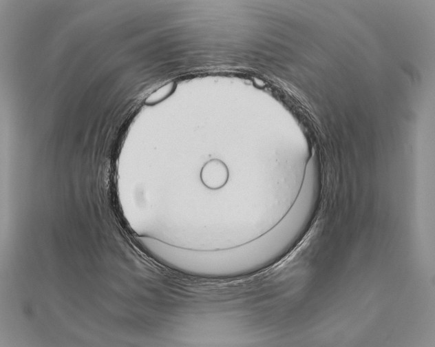X0000110931161200907301617