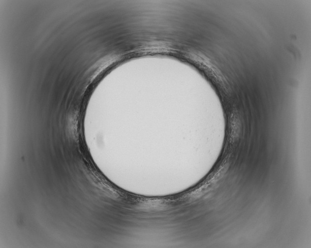 X0000110931162200907301617
