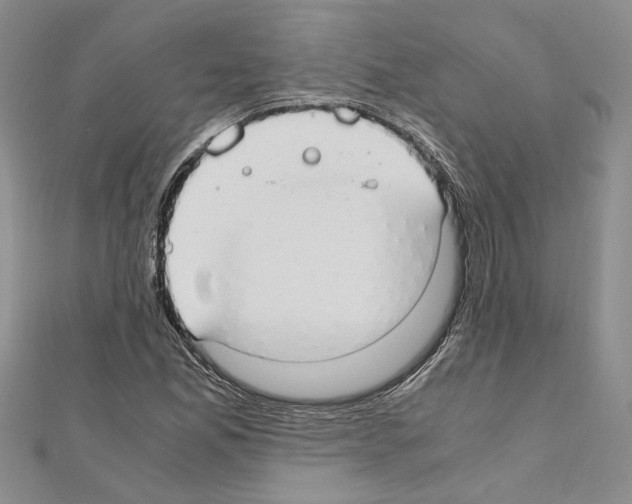 X0000110931165200907301617