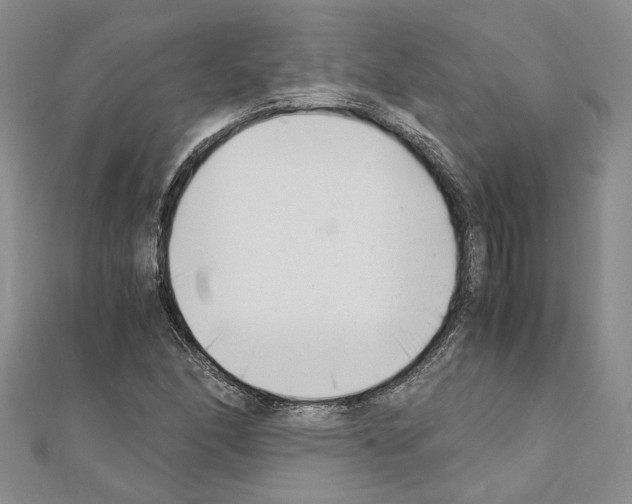 X0000110931166200907301617