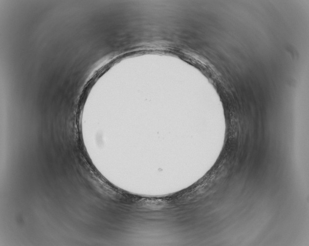 X0000110931168200907301617