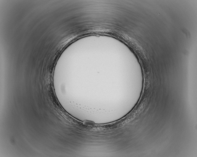 X0000110931169200907301617