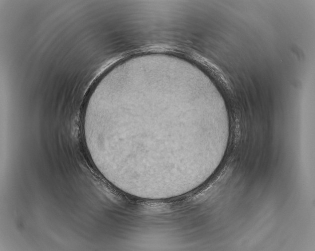 X0000110931170200907301617